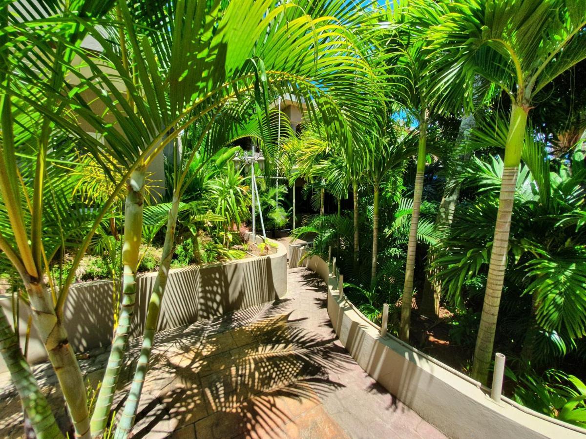 Apartment Malvilla