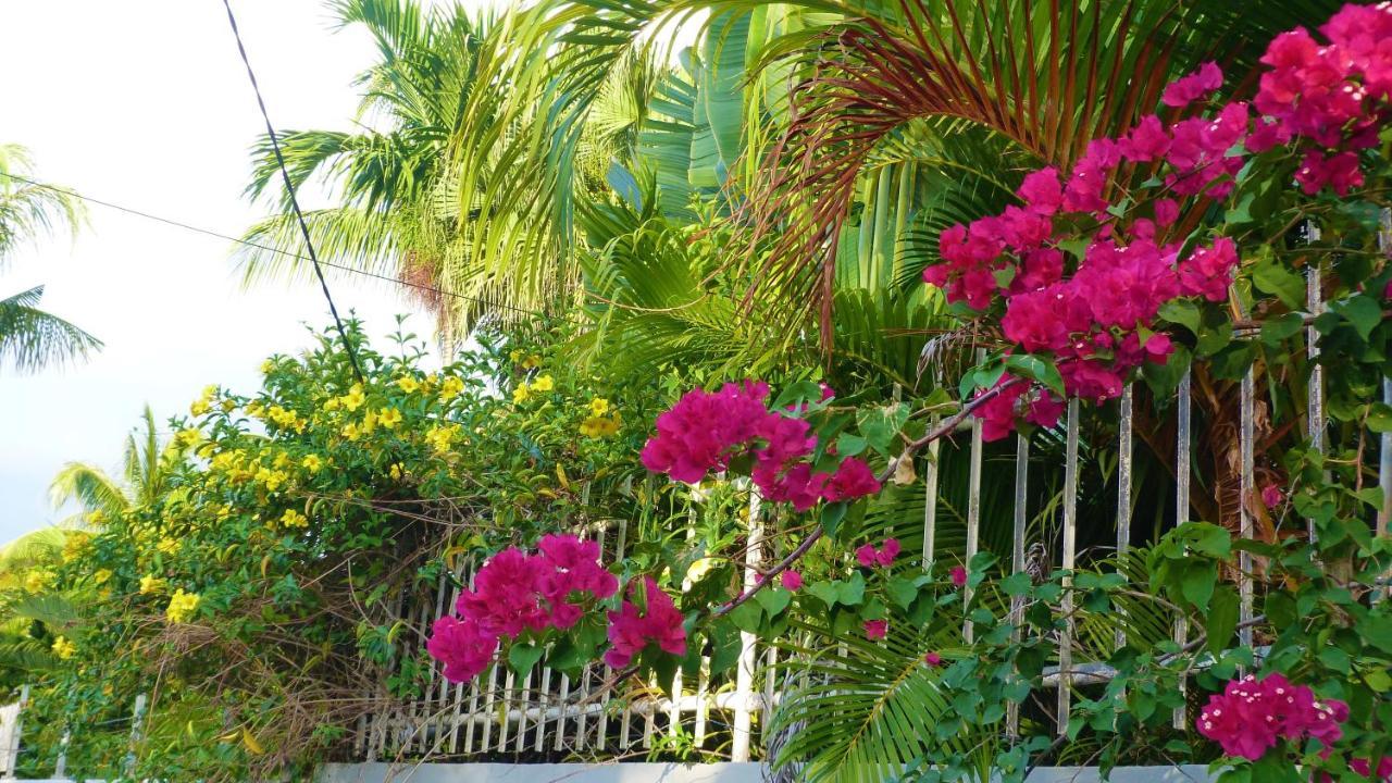 Apartment Malvilla Pereybere Beach